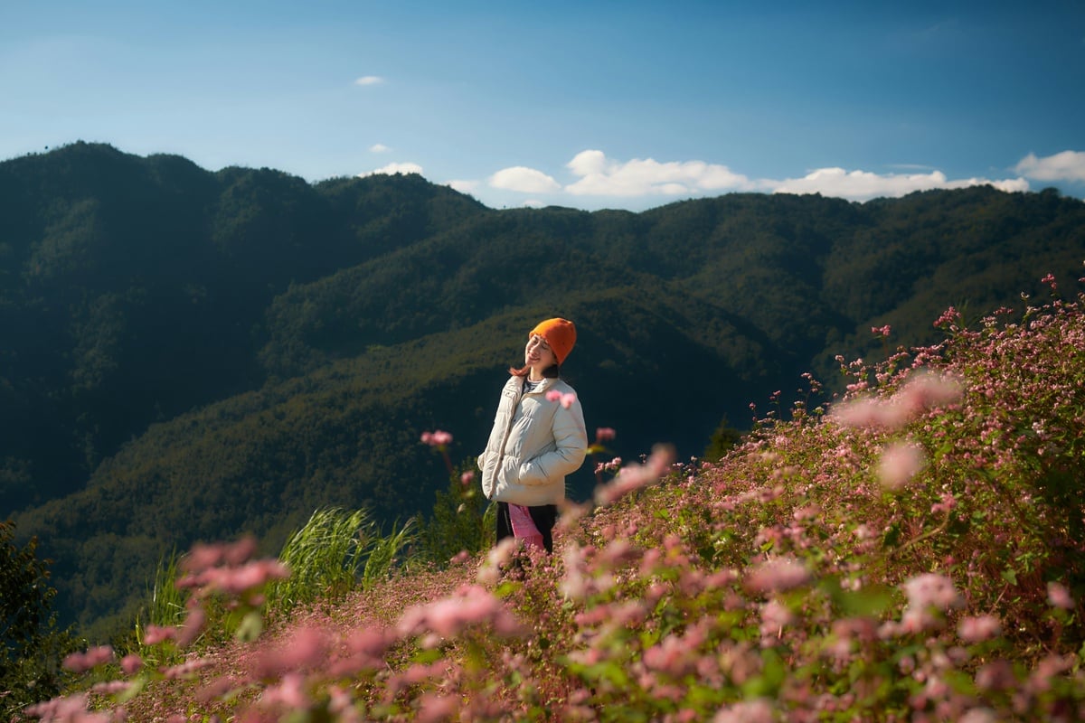 Reawakening Japan: Understanding the Return of the Japanese Outbound Traveler