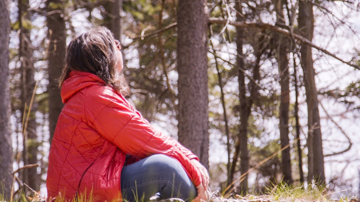 Maine Office of Tourism Partners With Mindtrip to Power AI-Driven Trip Planning Across The Pine Tree State