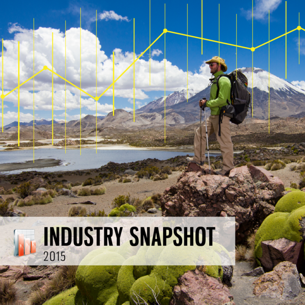 Industry Snapshot 2015