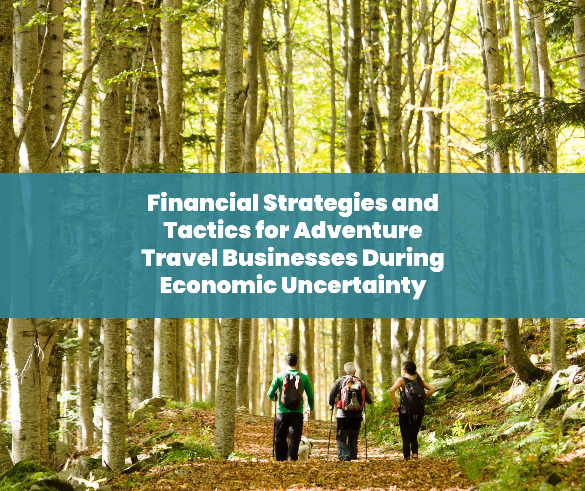 Financial Strategies and Tactics for Adventure Travel Businesses During Economic Uncertainty