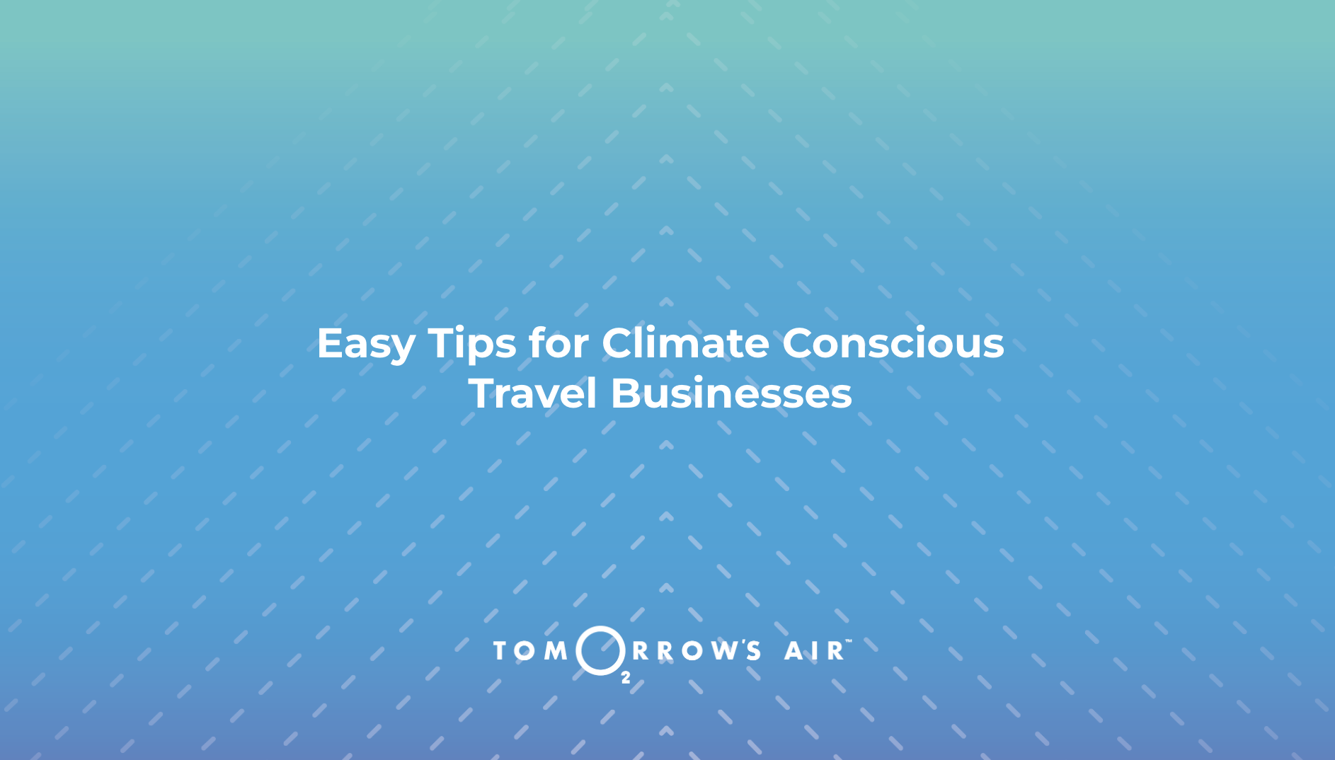 Easy Tips for Climate Conscious Travel Businesses